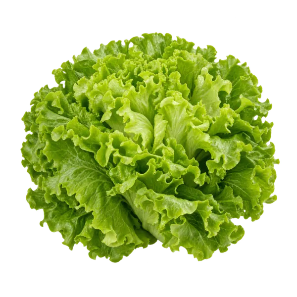 Ansalaato
