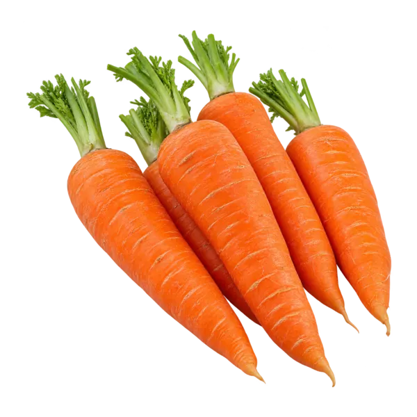 Karooto