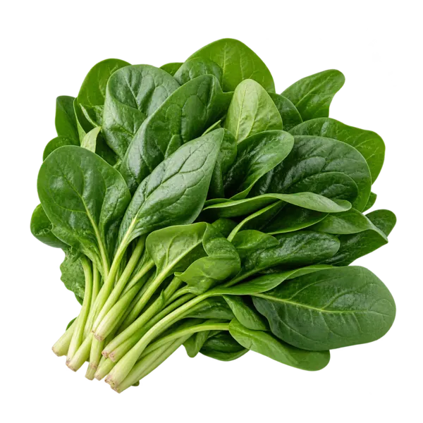 Koosto